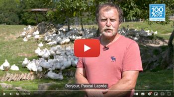 Pascal LAPRÉE - Eleveur de canards