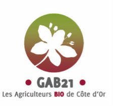 Logo GAB21